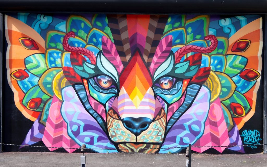 Learn About The Wynwood Walls for Art Enthusiasts