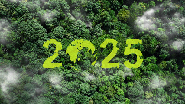 How to Travel Sustainably in 2025