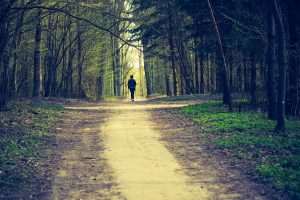 people play sport in forest nordic walking couple
